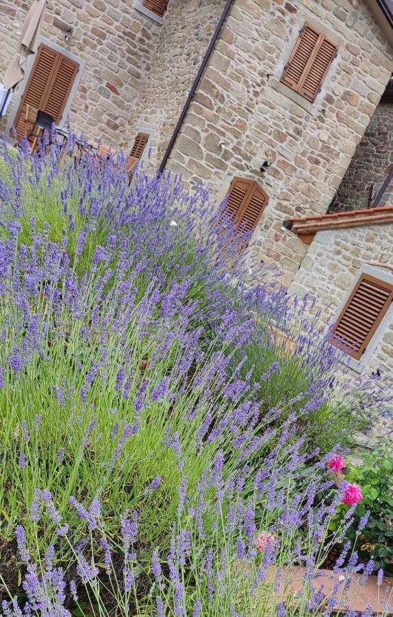 Podere Verdi Colline Poppi Bagian luar foto