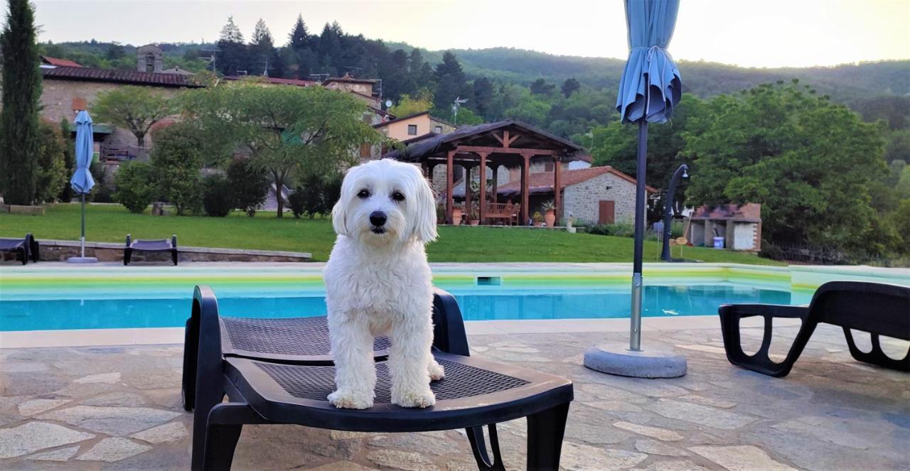 Podere Verdi Colline Poppi Bagian luar foto