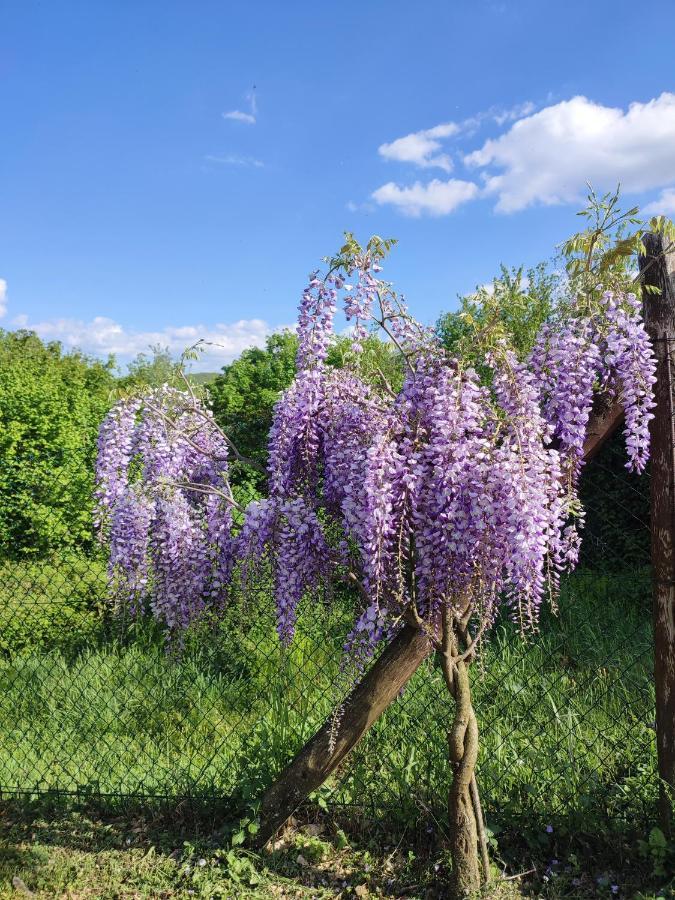 Podere Verdi Colline Poppi Bagian luar foto