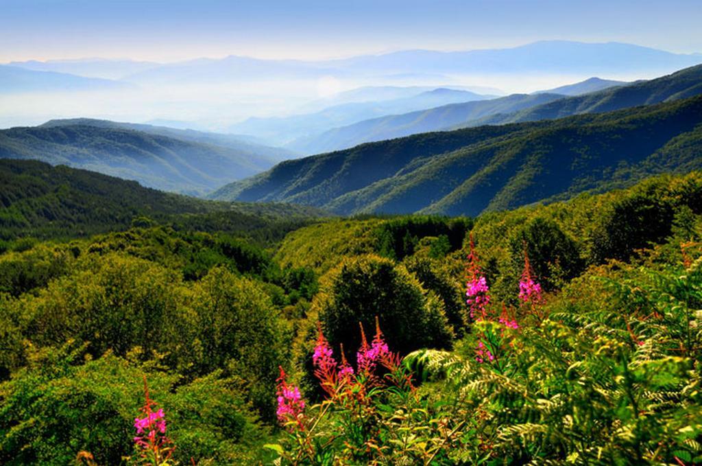 Podere Verdi Colline Poppi Bagian luar foto